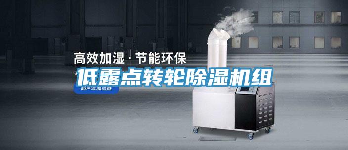 低露點(diǎn)轉(zhuǎn)輪除濕機(jī)組
