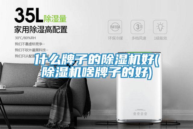 什么牌子的除濕機(jī)好(除濕機(jī)啥牌子的好)