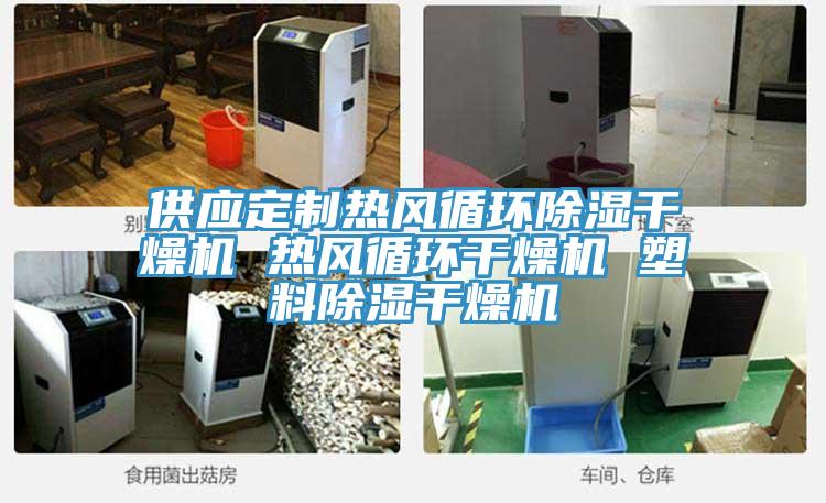 供應(yīng)定制熱風(fēng)循環(huán)除濕干燥機 熱風(fēng)循環(huán)干燥機 塑料除濕干燥機