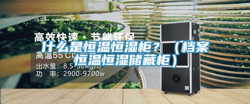 什么是恒溫恒濕柜？（檔案恒溫恒濕儲藏柜）