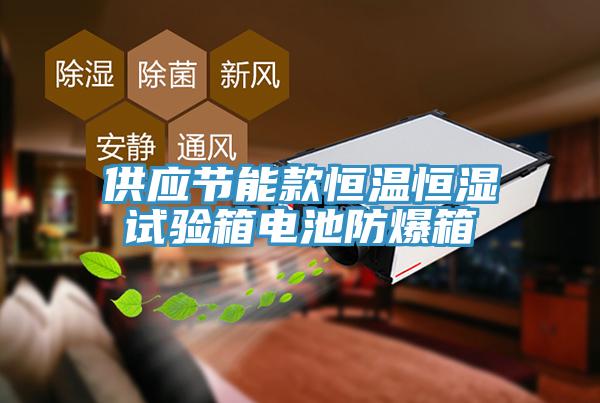 供應節(jié)能款恒溫恒濕試驗箱電池防爆箱