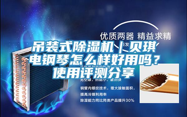 吊裝式除濕機(jī)｜貝琪電鋼琴怎么樣好用嗎？使用評(píng)測分享