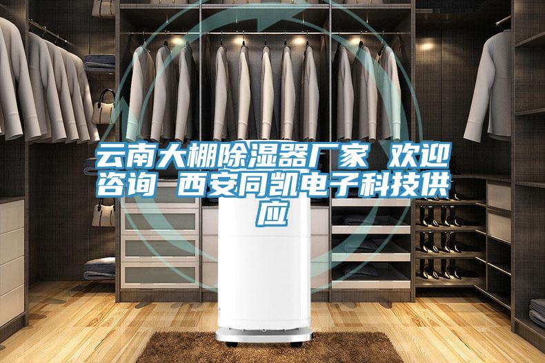 云南大棚除濕器廠家 歡迎咨詢 西安同凱電子科技供應