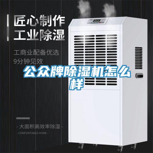 公眾牌除濕機怎么樣