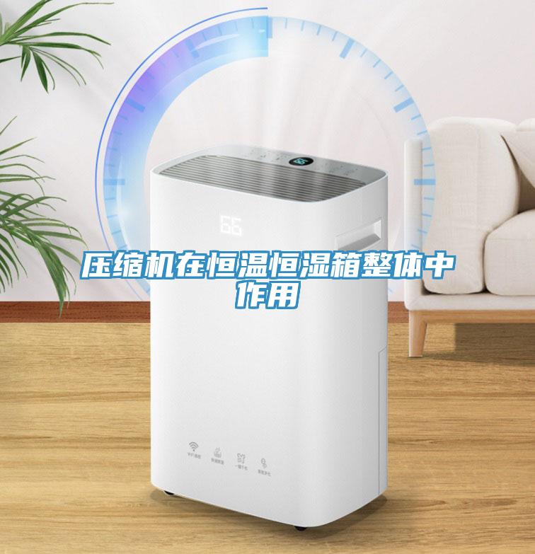 壓縮機(jī)在恒溫恒濕箱整體中作用