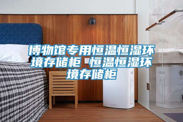 博物館專(zhuān)用恒溫恒濕環(huán)境存儲(chǔ)柜 恒溫恒濕環(huán)境存儲(chǔ)柜
