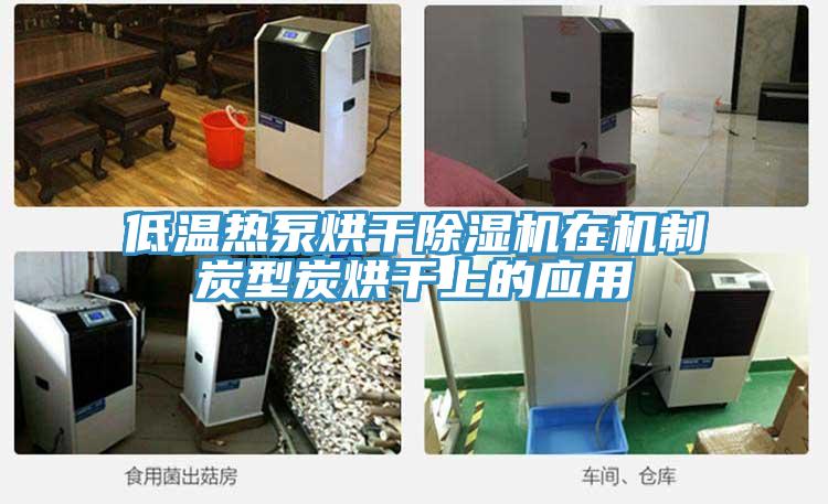 低溫?zé)岜煤娓沙凉駲C(jī)在機(jī)制炭型炭烘干上的應(yīng)用