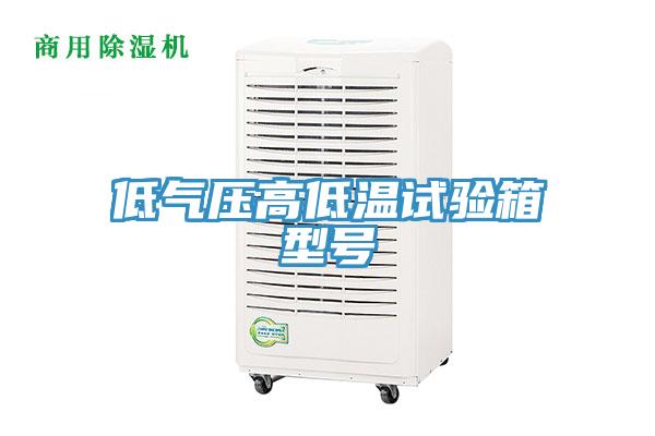 低氣壓高低溫試驗(yàn)箱型號