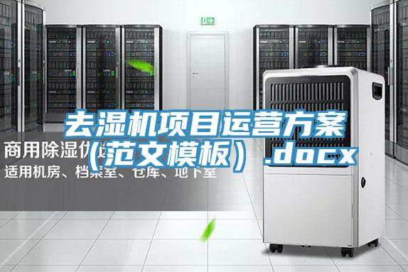 去濕機(jī)項目運(yùn)營方案（范文模板）.docx