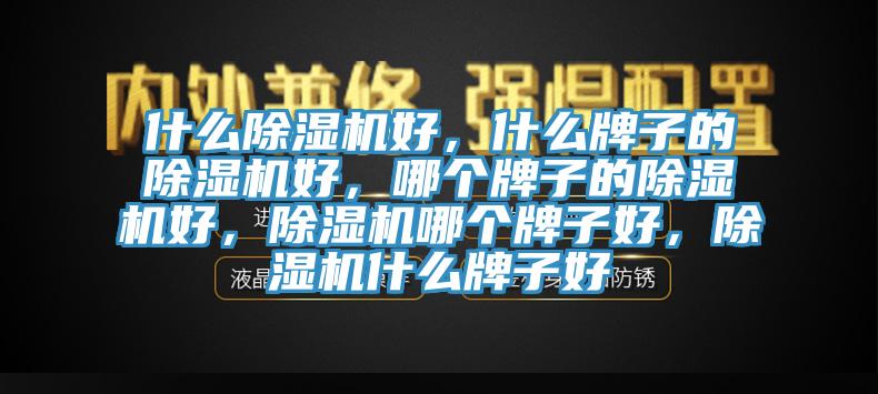 什么除濕機好，什么牌子的除濕機好，哪個牌子的除濕機好，除濕機哪個牌子好，除濕機什么牌子好