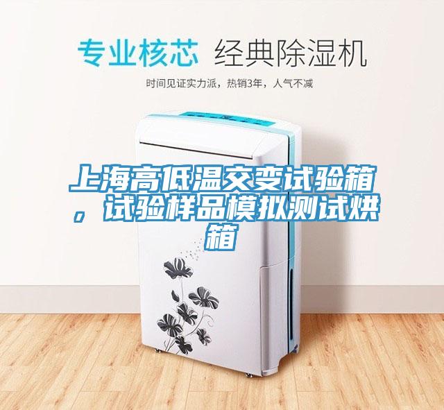上海高低溫交變試驗(yàn)箱，試驗(yàn)樣品模擬測試烘箱