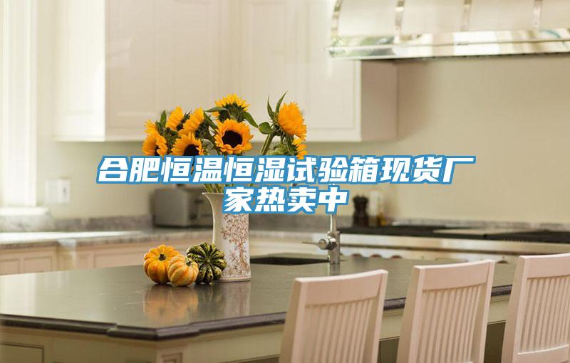 合肥恒溫恒濕試驗(yàn)箱現(xiàn)貨廠家熱賣中