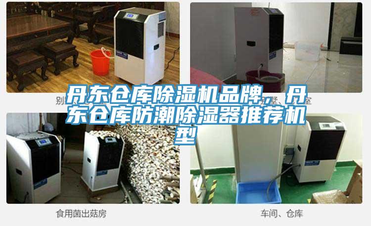 丹東倉庫除濕機(jī)品牌，丹東倉庫防潮除濕器推薦機(jī)型