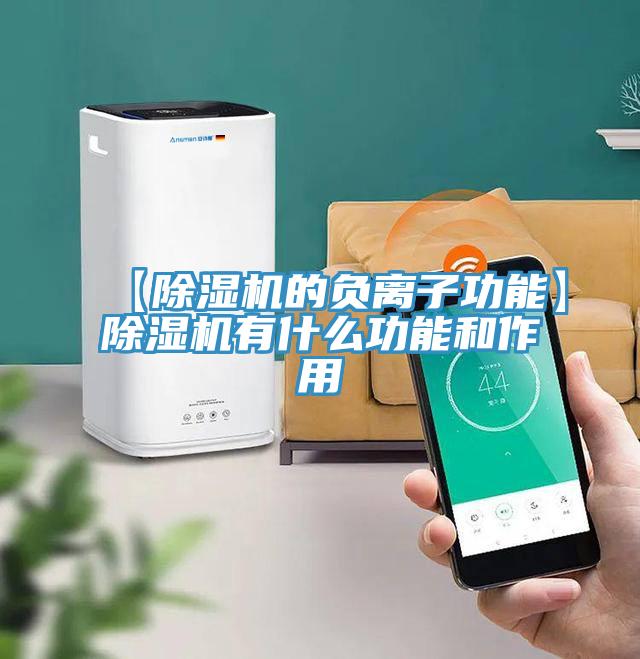 【除濕機(jī)的負(fù)離子功能】除濕機(jī)有什么功能和作用