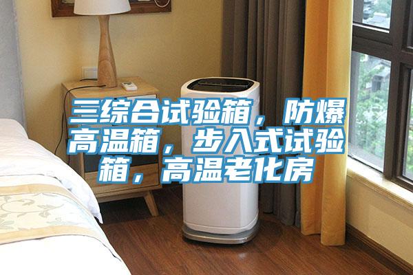 三綜合試驗箱，防爆高溫箱，步入式試驗箱，高溫老化房