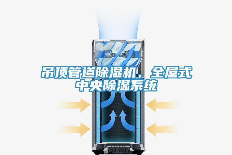 吊頂管道除濕機，全屋式中央除濕系統(tǒng)
