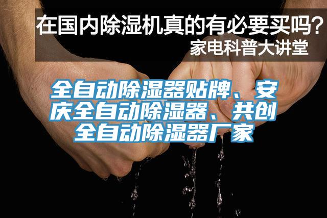 全自動除濕器貼牌、安慶全自動除濕器、共創(chuàng)全自動除濕器廠家