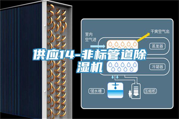供應(yīng)14-非標(biāo)管道除濕機