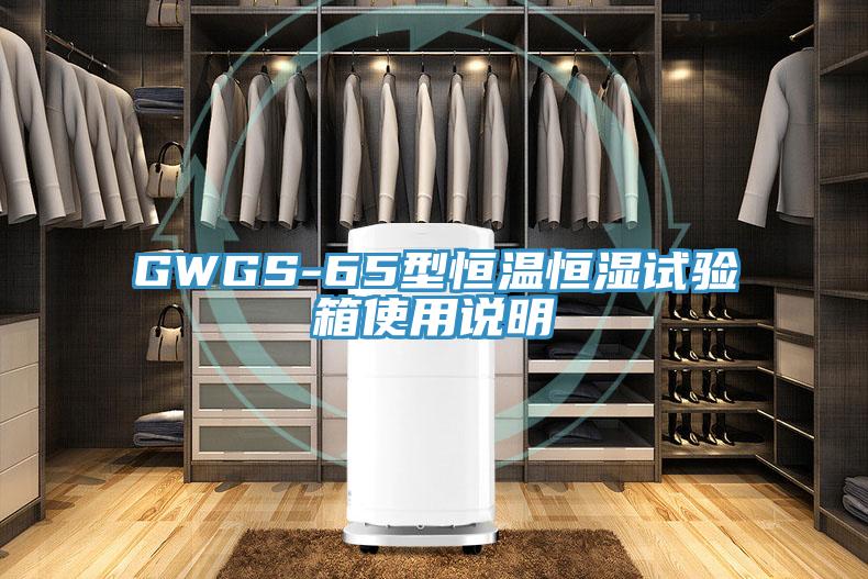 GWGS-65型恒溫恒濕試驗箱使用說明