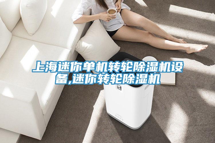 上海迷你單機(jī)轉(zhuǎn)輪除濕機(jī)設(shè)備,迷你轉(zhuǎn)輪除濕機(jī)