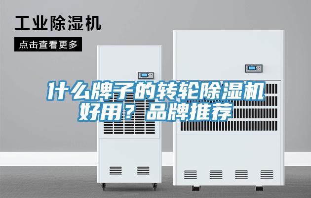 什么牌子的轉(zhuǎn)輪除濕機好用？品牌推薦