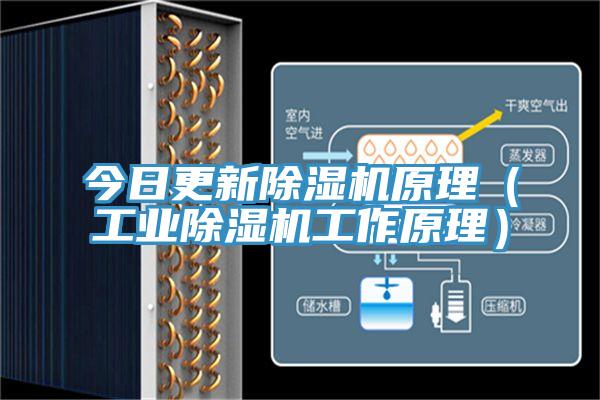 今日更新除濕機原理（工業(yè)除濕機工作原理）
