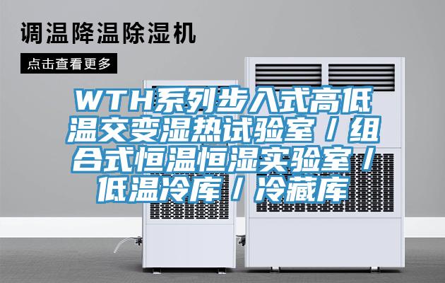 WTH系列步入式高低溫交變濕熱試驗(yàn)室／組合式恒溫恒濕實(shí)驗(yàn)室／低溫冷庫(kù)／冷藏庫(kù)