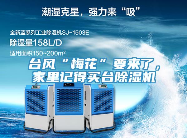 臺(tái)風(fēng)“梅花”要來(lái)了，家里記得買臺(tái)除濕機(jī)