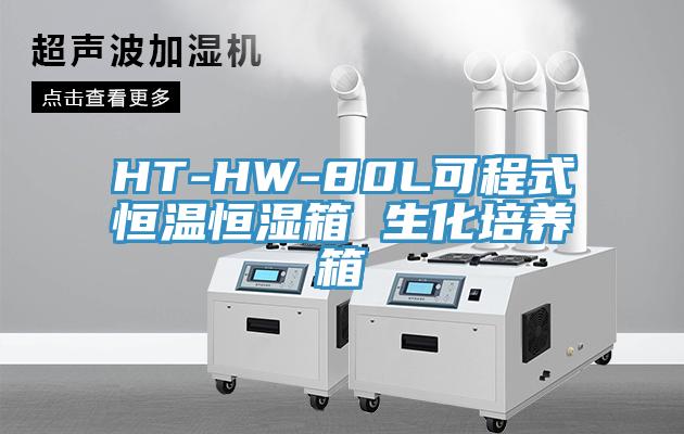 HT-HW-80L可程式恒溫恒濕箱 生化培養(yǎng)箱