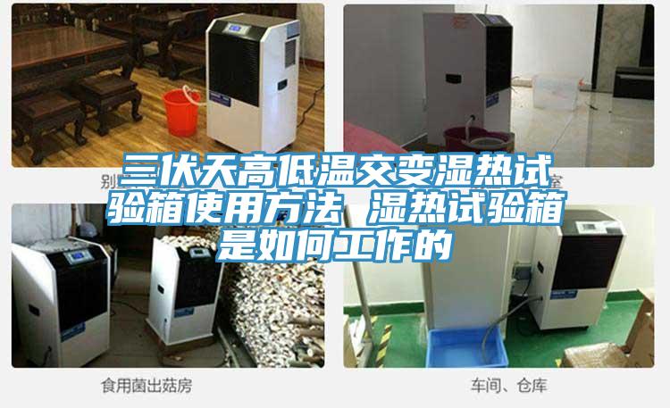 三伏天高低溫交變濕熱試驗箱使用方法 濕熱試驗箱是如何工作的