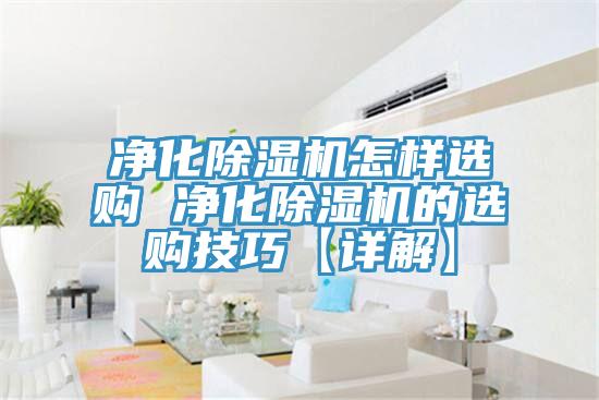 凈化除濕機(jī)怎樣選購(gòu) 凈化除濕機(jī)的選購(gòu)技巧【詳解】