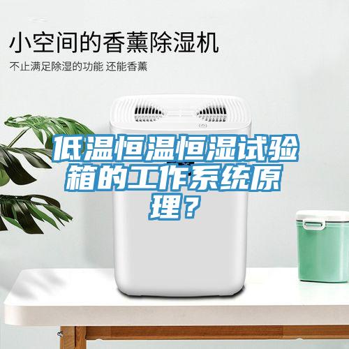 低溫恒溫恒濕試驗(yàn)箱的工作系統(tǒng)原理？