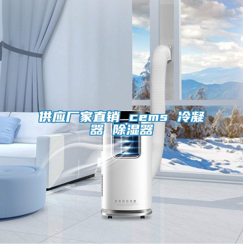 供應(yīng)廠家直銷 cems 冷凝器 除濕器