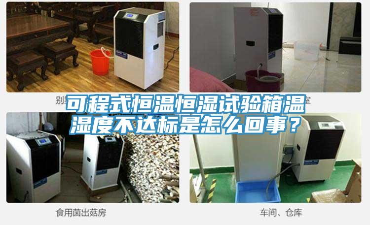 可程式恒溫恒濕試驗箱溫濕度不達標是怎么回事？