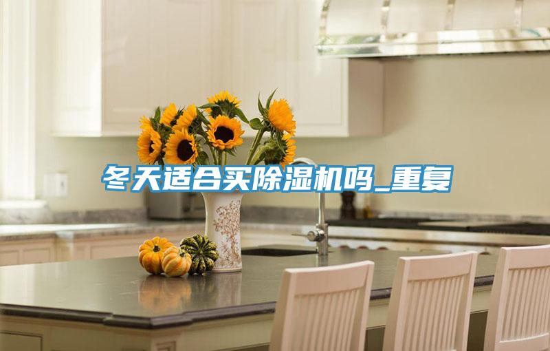 冬天適合買(mǎi)除濕機(jī)嗎_重復(fù)