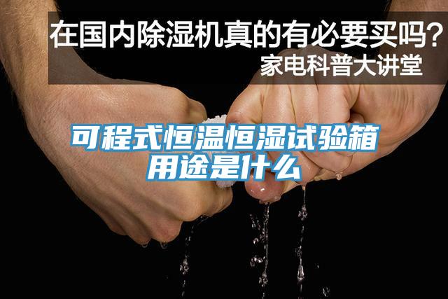 可程式恒溫恒濕試驗(yàn)箱用途是什么