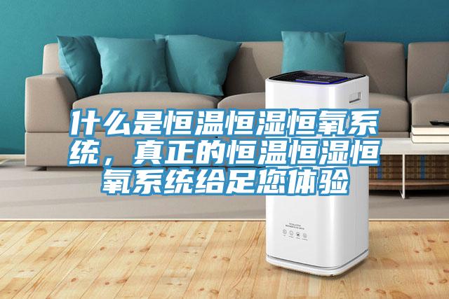 什么是恒溫恒濕恒氧系統(tǒng)，真正的恒溫恒濕恒氧系統(tǒng)給足您體驗