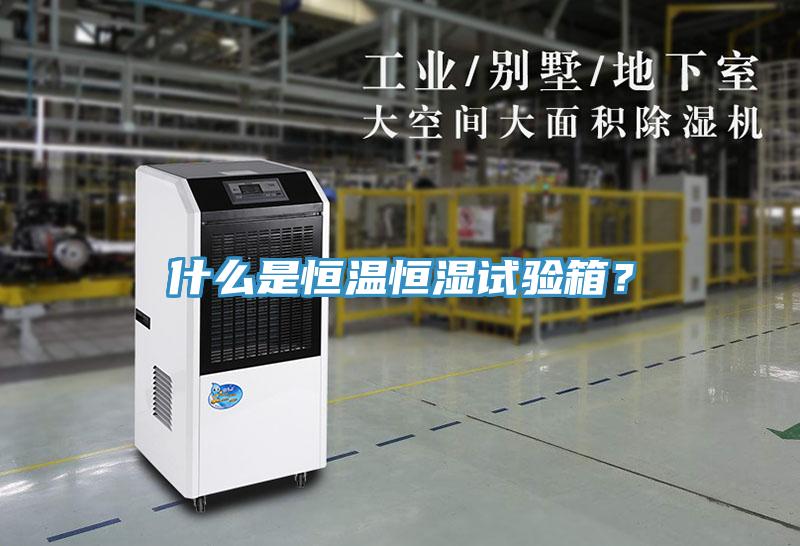 什么是恒溫恒濕試驗(yàn)箱？