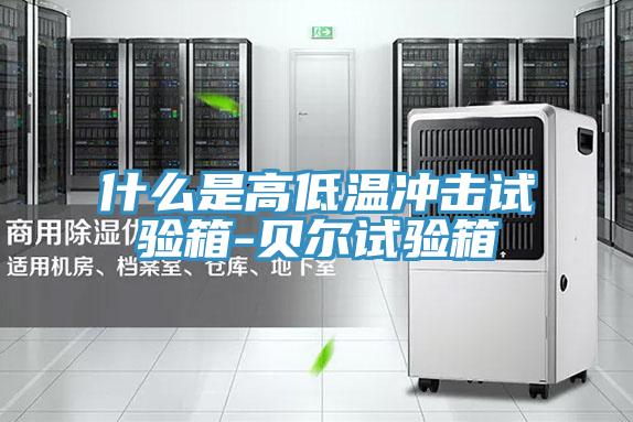 什么是高低溫沖擊試驗箱-貝爾試驗箱