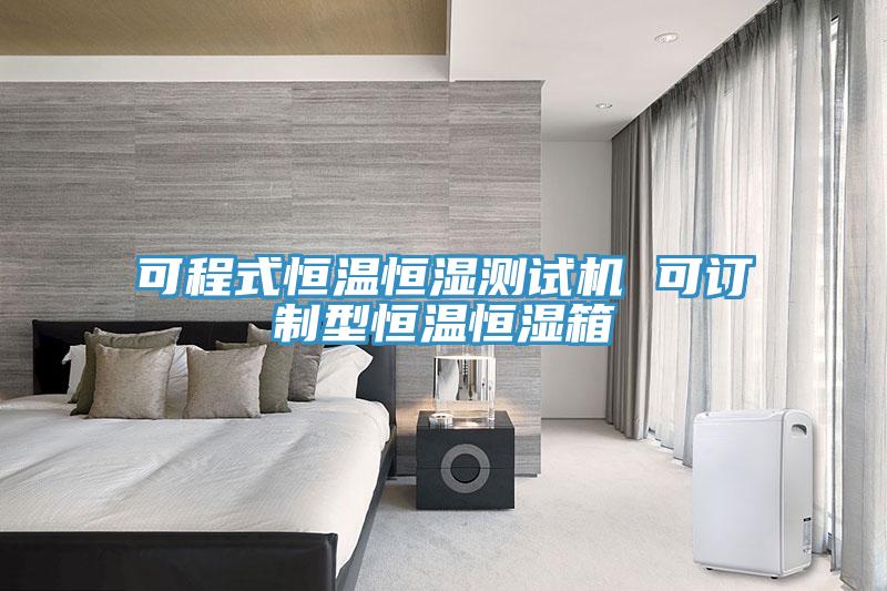 可程式恒溫恒濕測試機(jī) 可訂制型恒溫恒濕箱