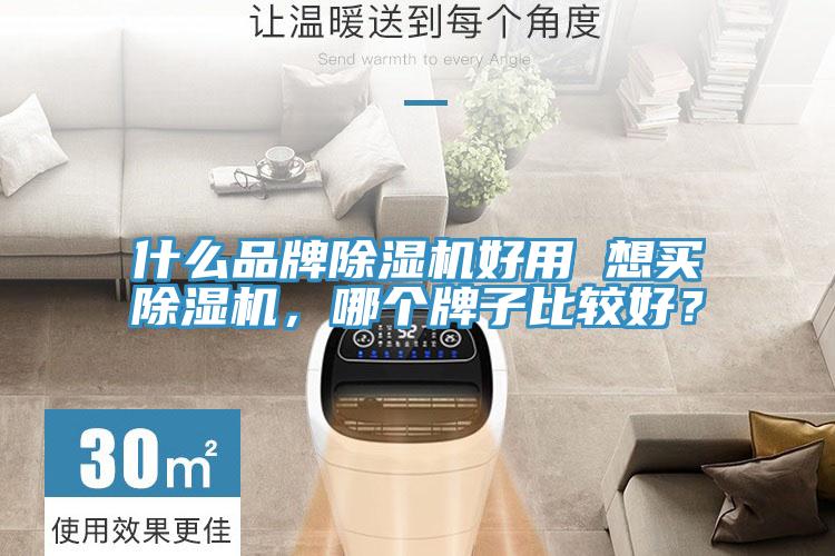 什么品牌除濕機好用 想買除濕機，哪個牌子比較好？