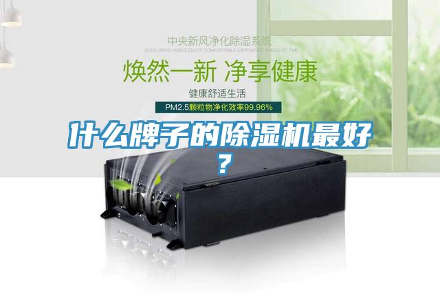 什么牌子的除濕機最好？