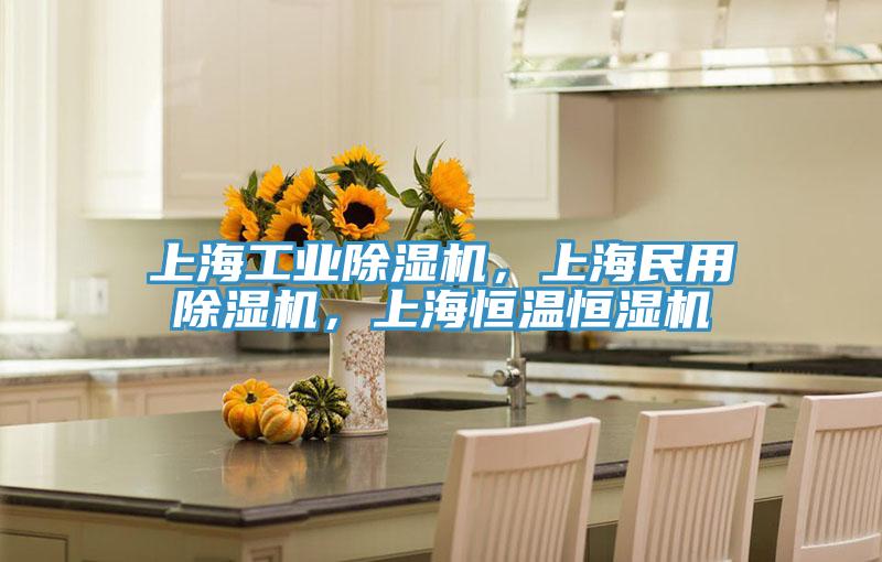上海工業(yè)除濕機，上海民用除濕機，上海恒溫恒濕機