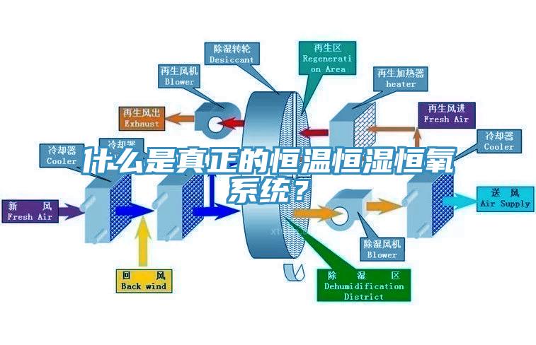 什么是真正的恒溫恒濕恒氧系統(tǒng)？