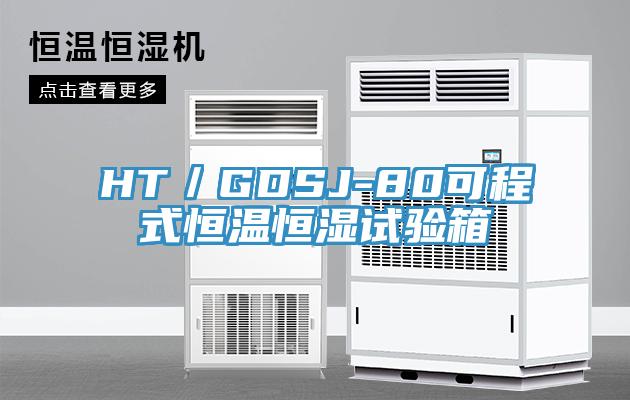 HT／GDSJ-80可程式恒溫恒濕試驗(yàn)箱