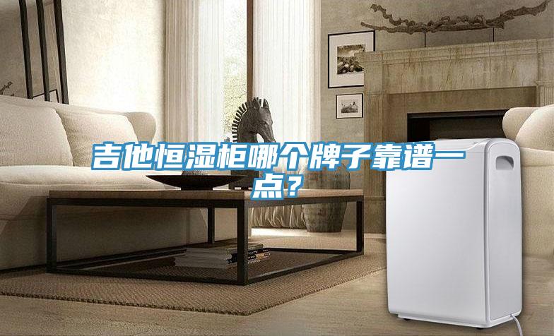 吉他恒濕柜哪個(gè)牌子靠譜一點(diǎn)？
