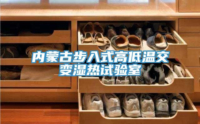 內(nèi)蒙古步入式高低溫交變濕熱試驗室