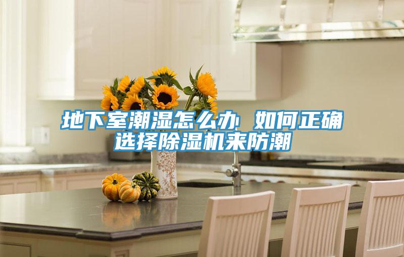 地下室潮濕怎么辦 如何正確選擇除濕機(jī)來防潮
