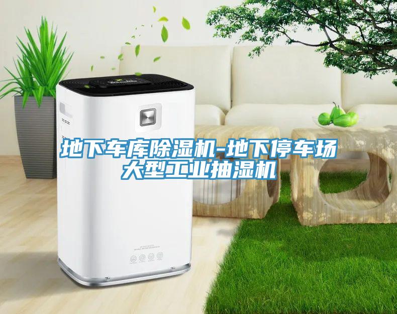 地下車(chē)庫(kù)除濕機(jī)-地下停車(chē)場(chǎng)大型工業(yè)抽濕機(jī)