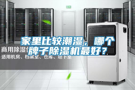 家里比較潮濕，哪個牌子除濕機最好？